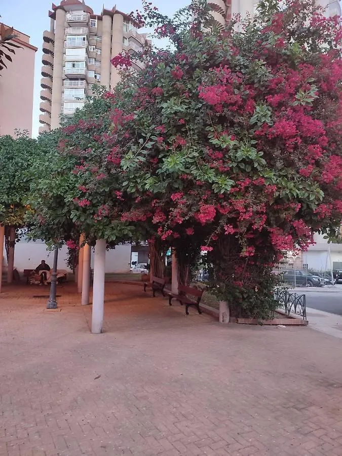 Apartamento Rio Algas, Nuevo Torremolinos Apartment
